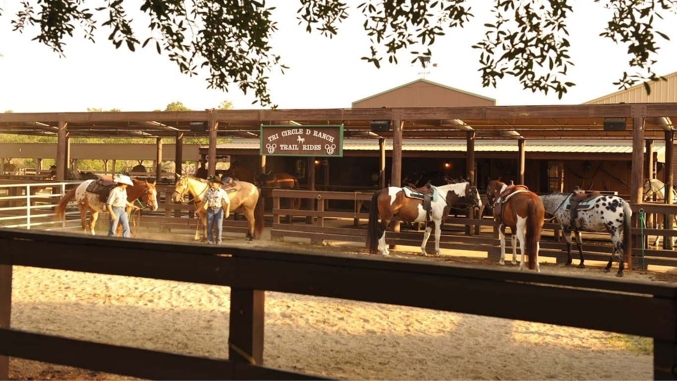 Horseback Riding