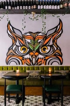 The Owl’s Tail
