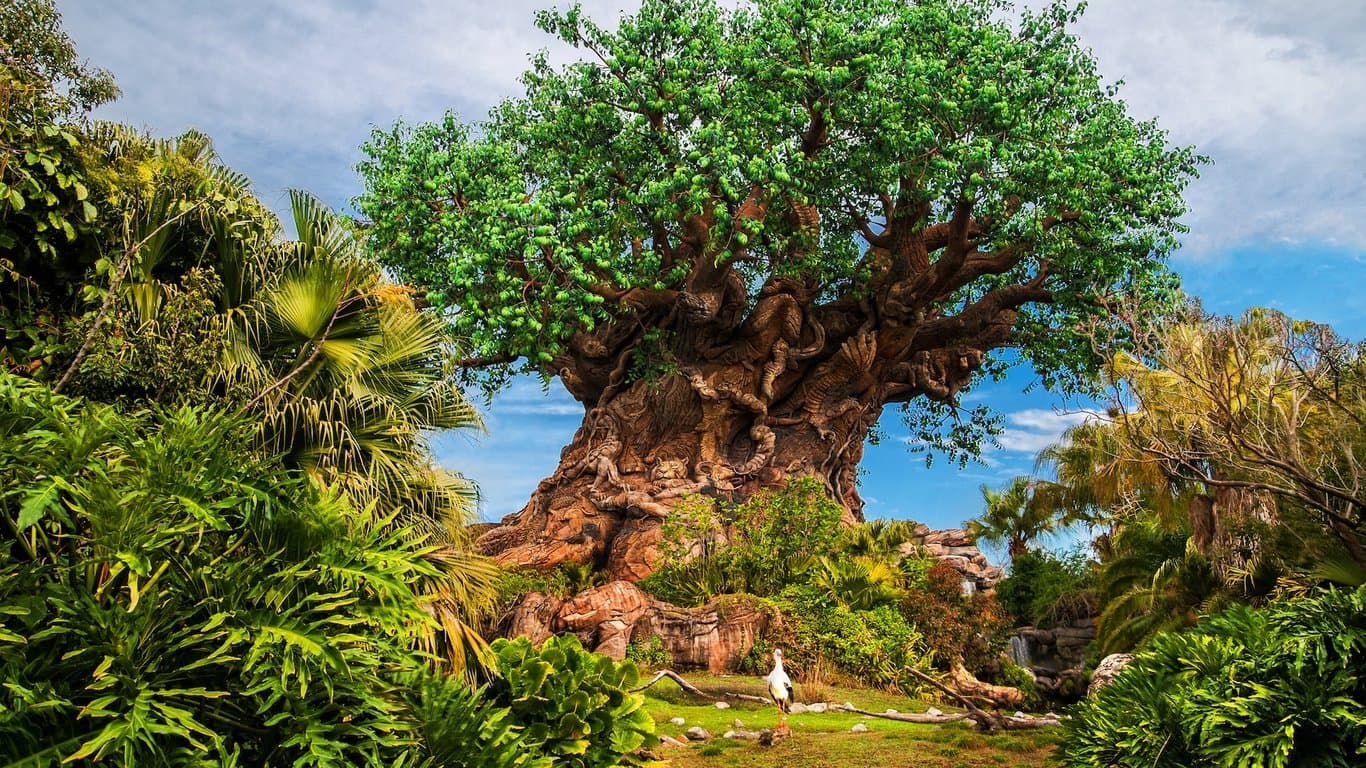 Capture Your Moment: Disney's Animal Kingdom