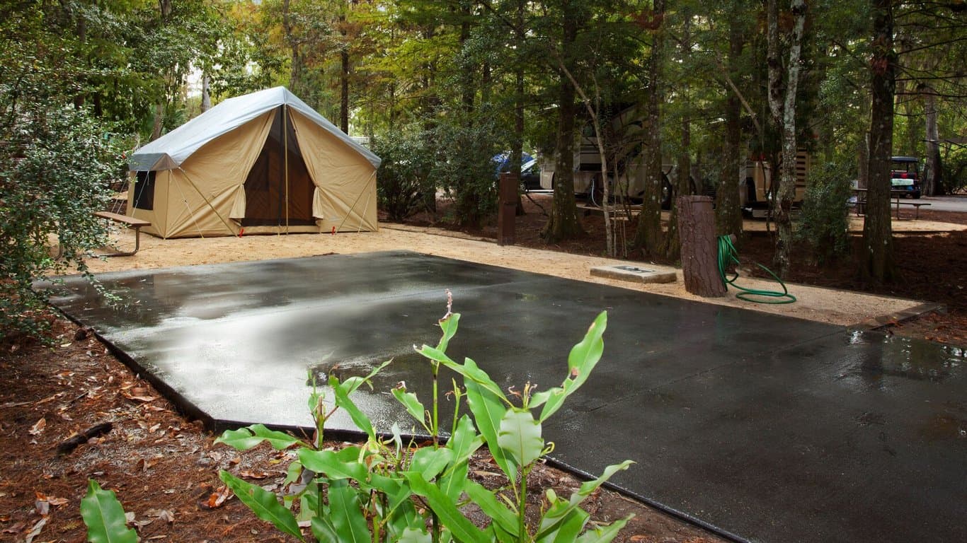 Preferred Campsite