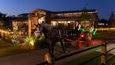 Horse Drawn Excursion - Holiday Sleigh Rides