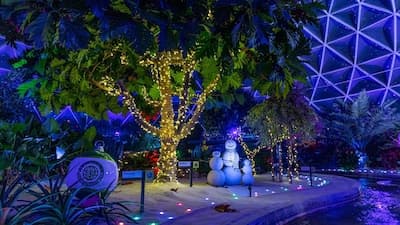 Behind the Seeds: Glimmering Greenhouses