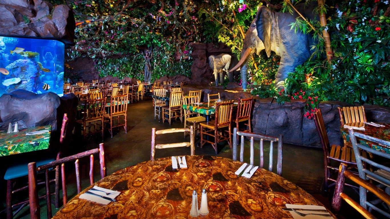 Rainforest Cafe® at Disney's Animal Kingdom thumbnail