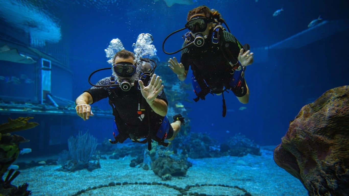 EPCOT Seas Adventures – DiveQuest
