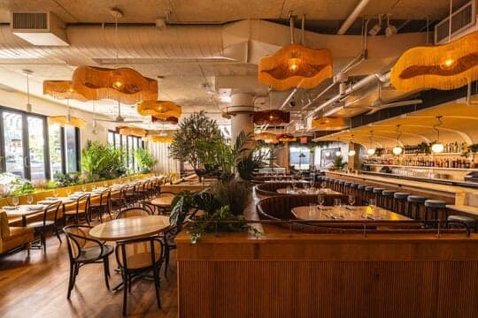 Leonetta NYC