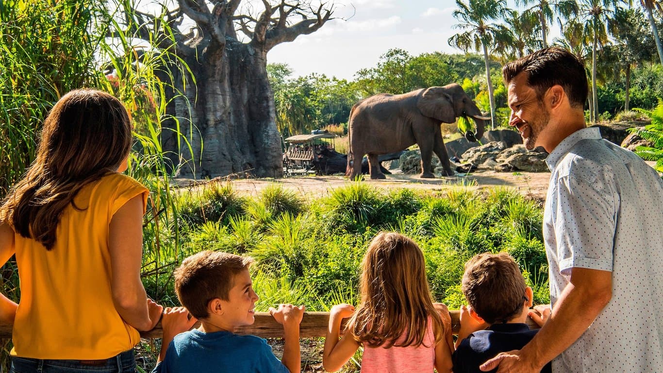 Caring for Giants