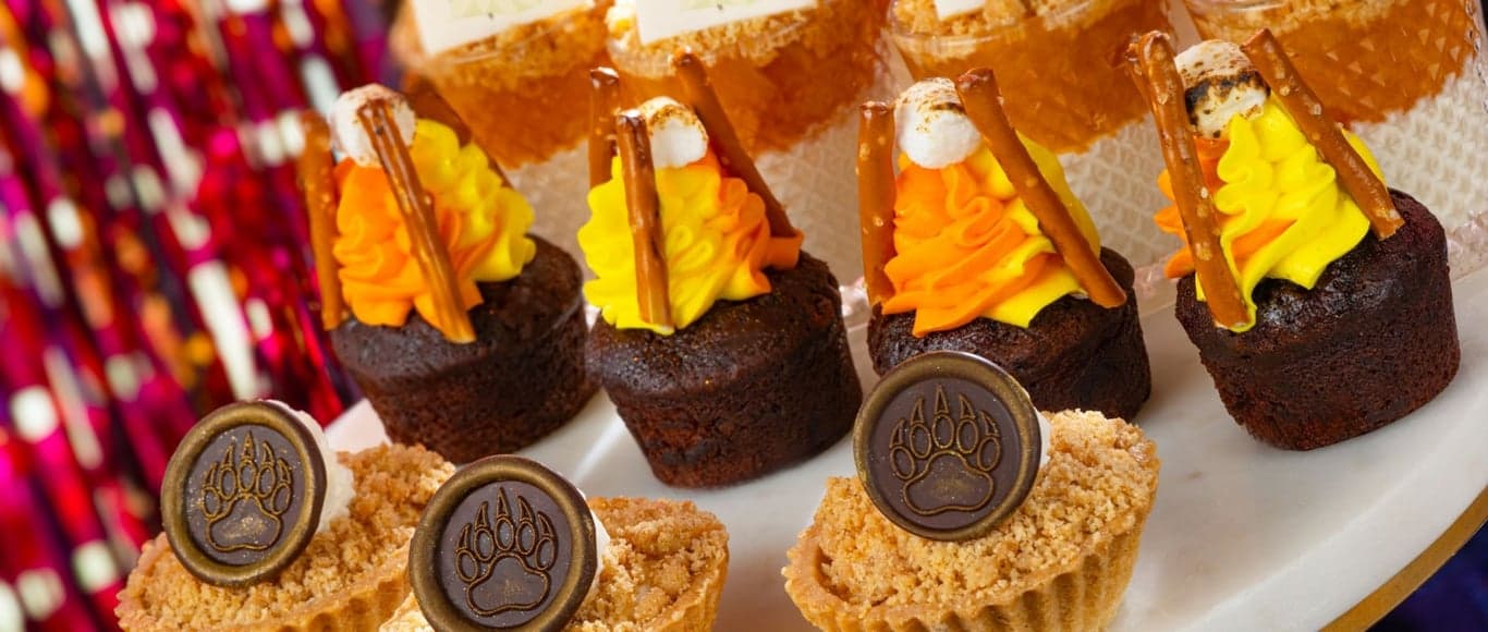 Magic Kingdom Fireworks Dessert Parties: Pre-Party thumbnail